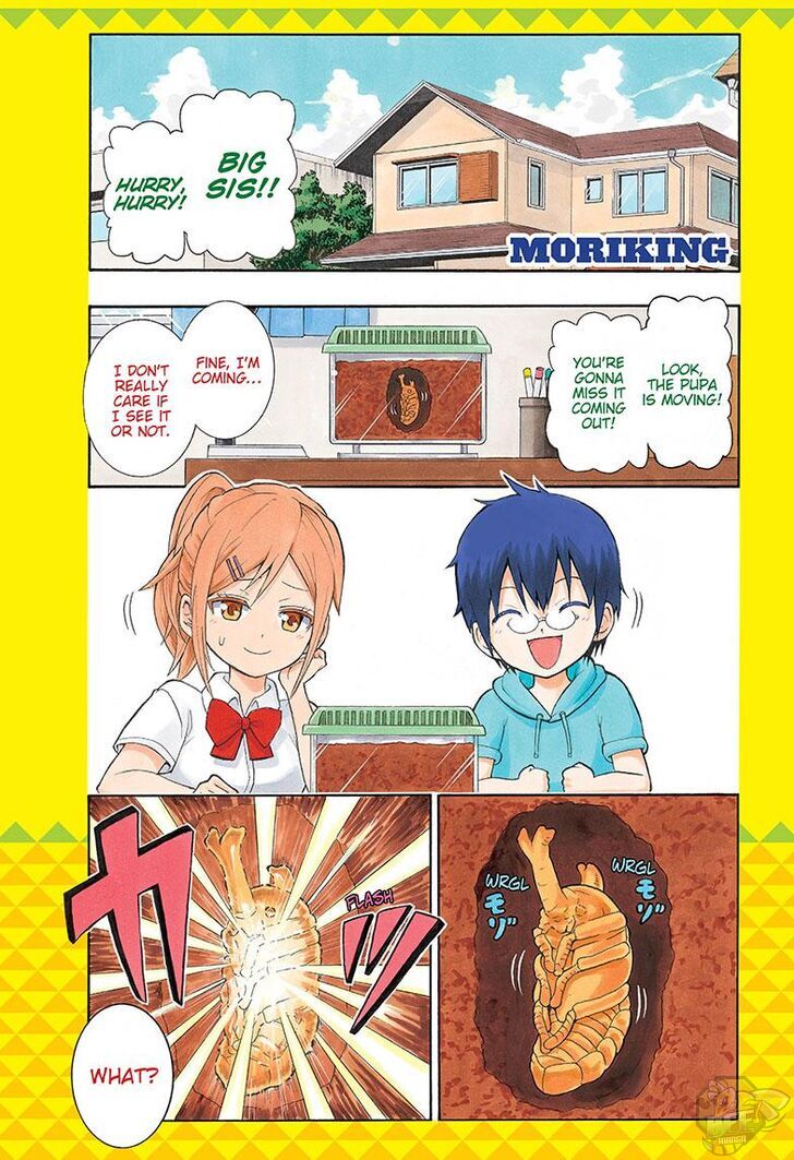 Shinrin Ousha Mori King Chapter 1 - MyToon.net