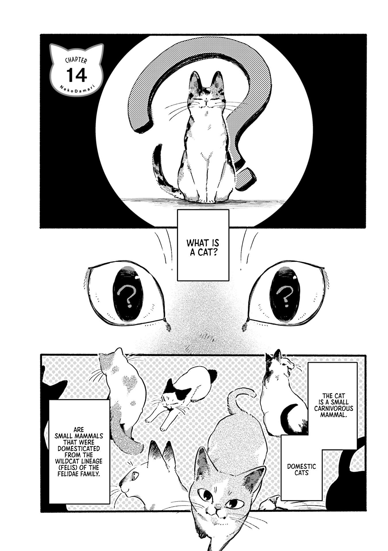 Nekodamari Chapter 14 - HolyManga.net