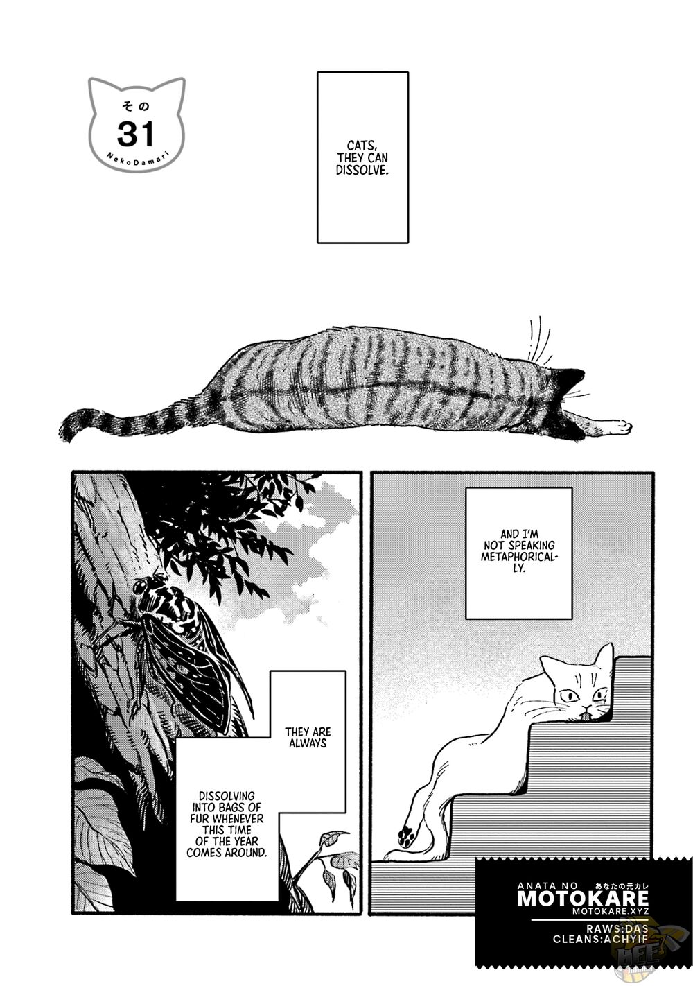 Nekodamari Chapter 31 - HolyManga.net