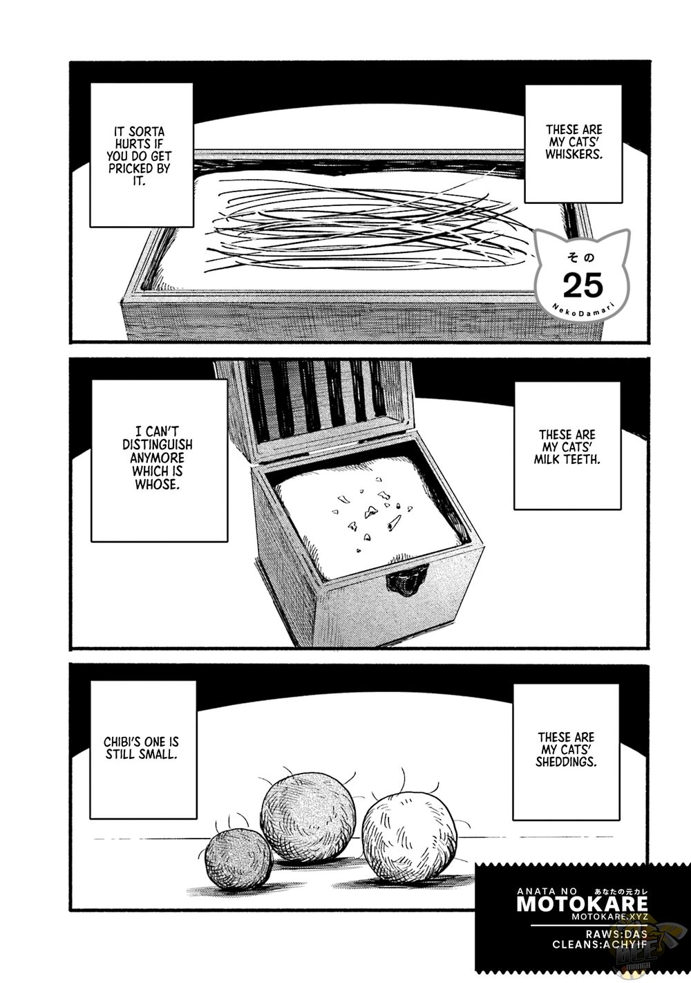 Nekodamari Chapter 25 - HolyManga.net