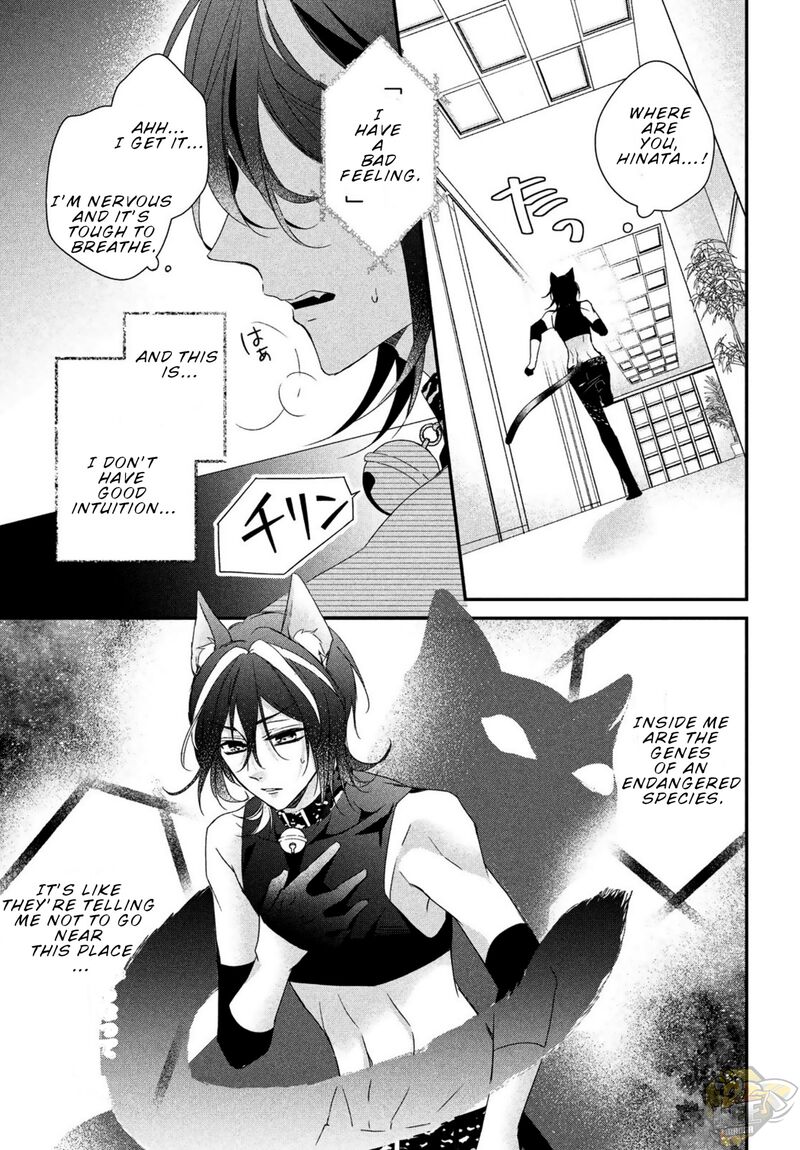 Tokyo Mew Mew Oure! Chapter 6 - HolyManga.net