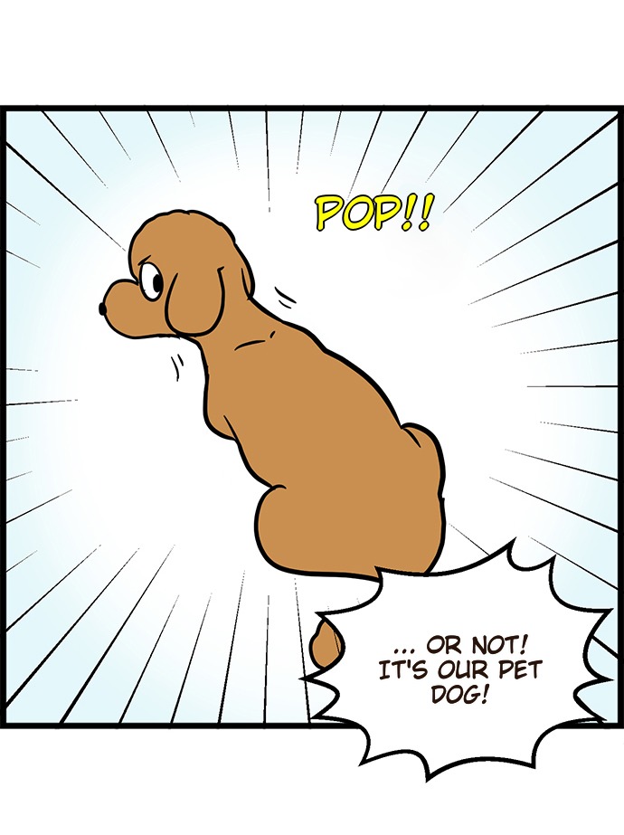 poodle&me Chapter 1 - MyToon.net