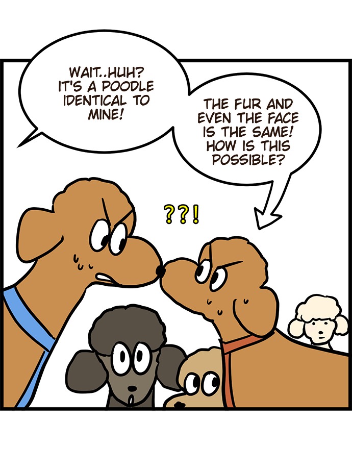 poodle&me Chapter 1 - MyToon.net