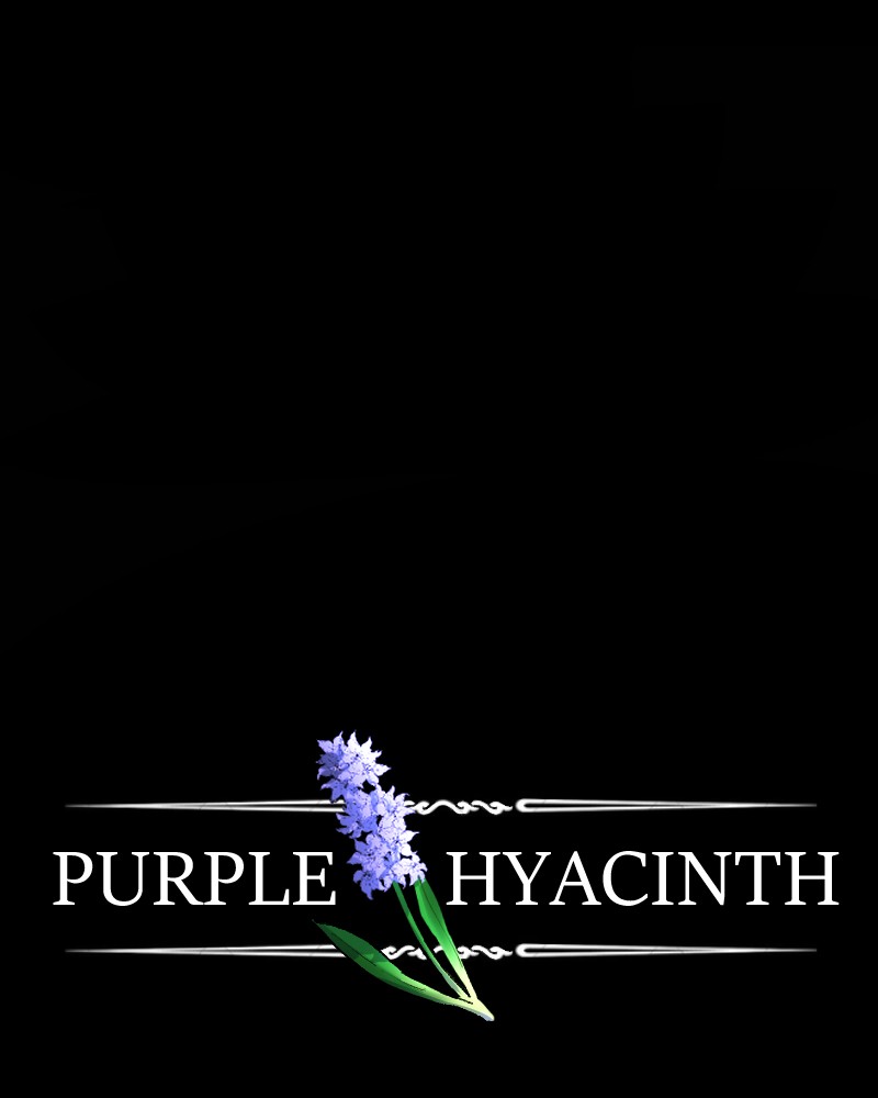 Purple Hyacinth Chapter 98 - MyToon.net