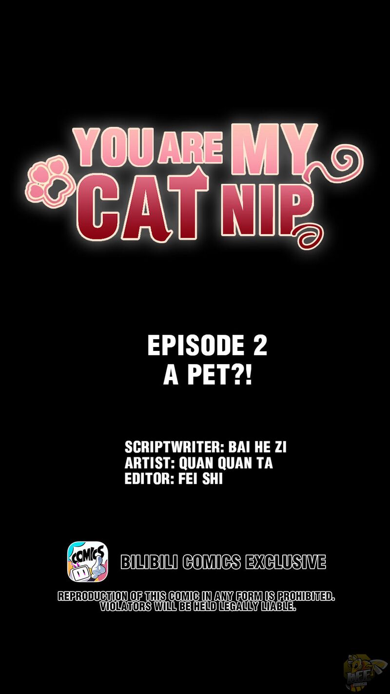 You Are My Catnip Chapter 2 - HolyManga.net