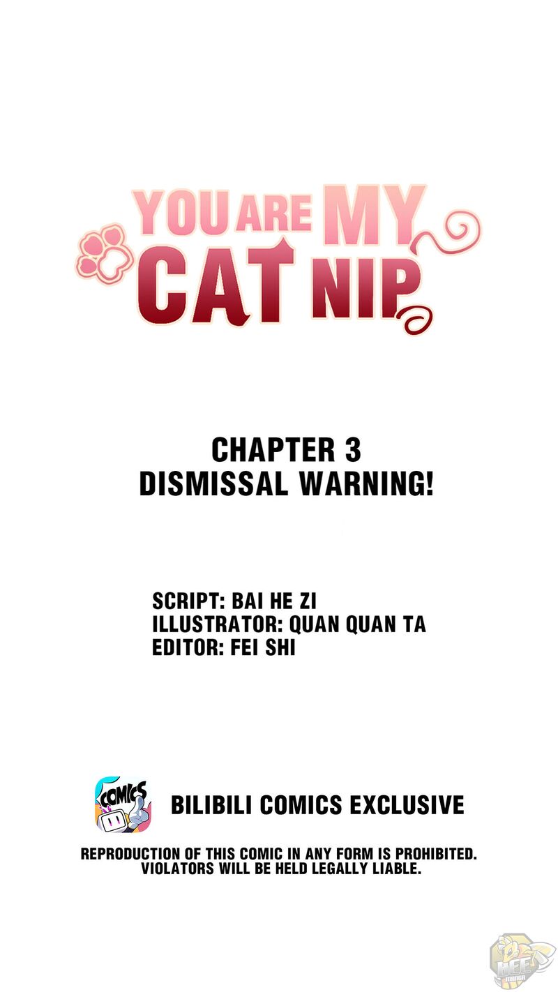 You Are My Catnip Chapter 3 - ManhwaFull.net