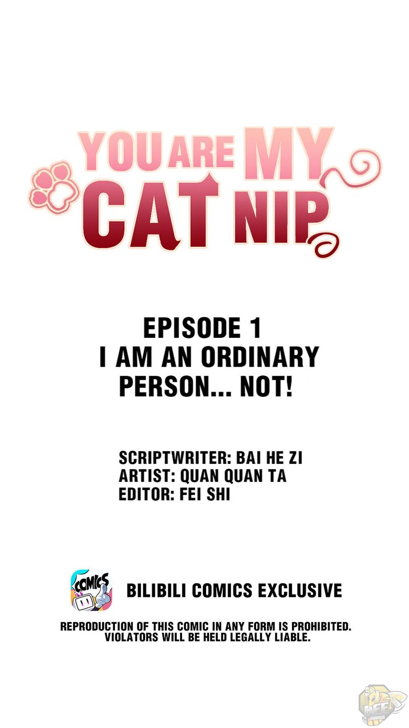 You Are My Catnip Chapter 1 - HolyManga.net