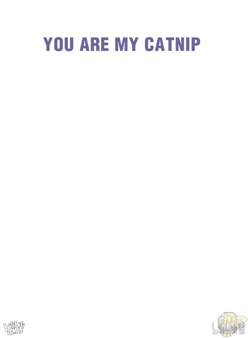 You Are My Catnip Chapter 0 - HolyManga.net