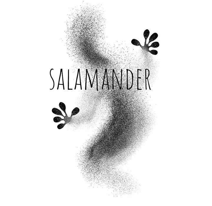Salamander Chapter 17 - MyToon.net