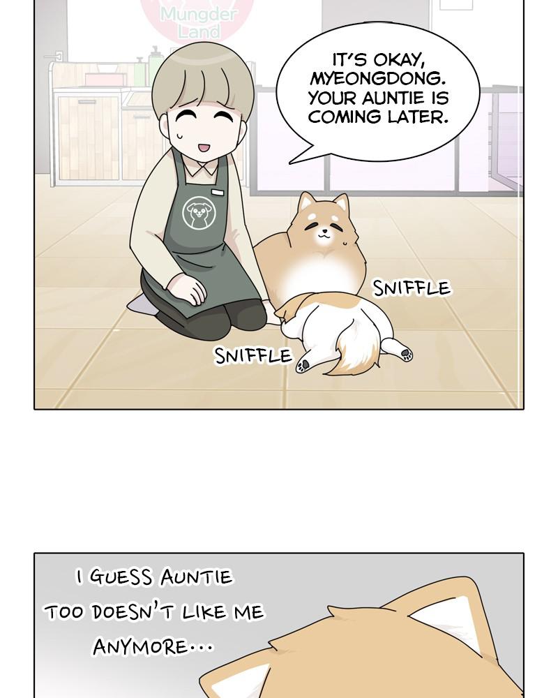 The Dog Diaries Chapter 39 - MyToon.net