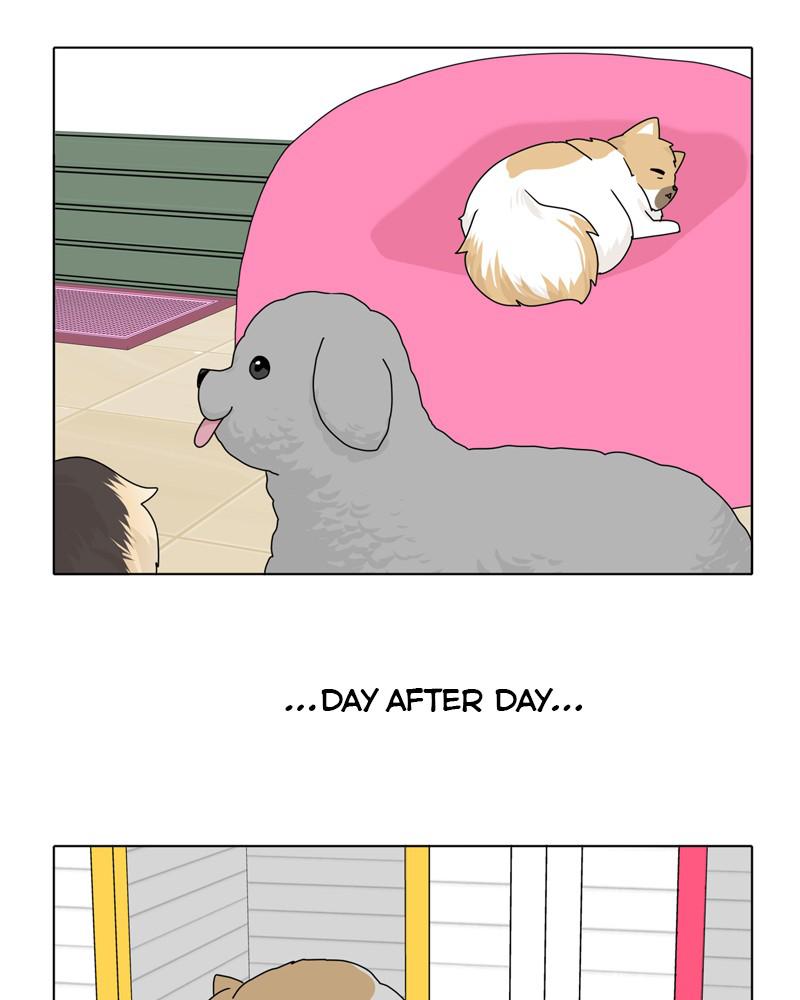 The Dog Diaries Chapter 39 - MyToon.net