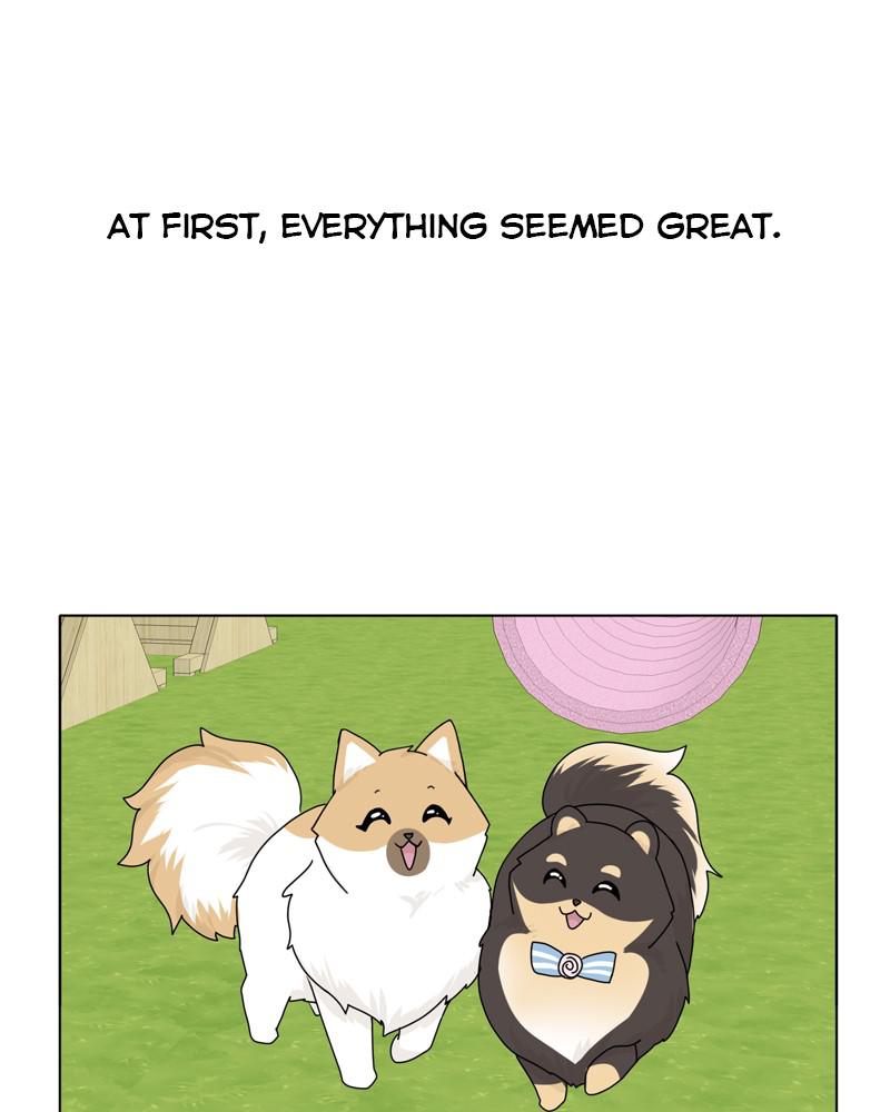 The Dog Diaries Chapter 39 - MyToon.net