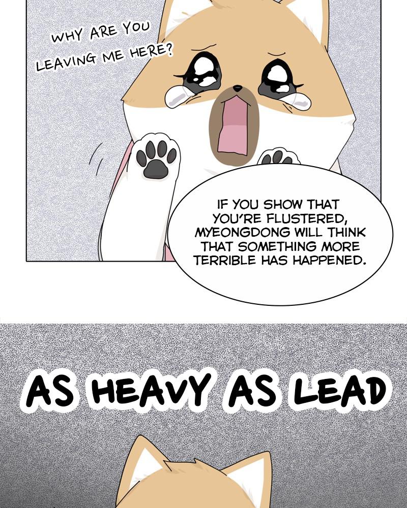 The Dog Diaries Chapter 39 - MyToon.net