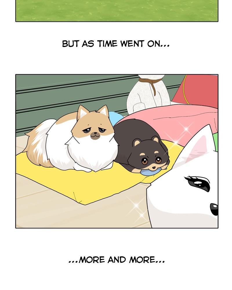 The Dog Diaries Chapter 39 - MyToon.net