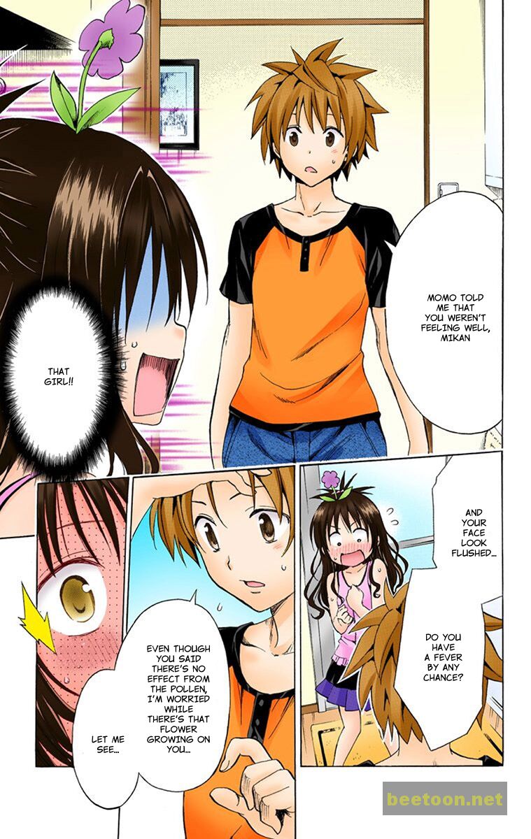 To LOVE-Ru Darkness - Full color Chapter 8.5 - ManhwaFull.net