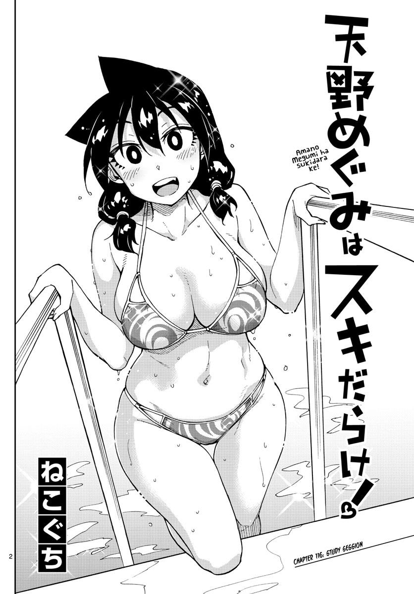 Amano Megumi wa Suki Darake! Chapter 116 - HolyManga.net