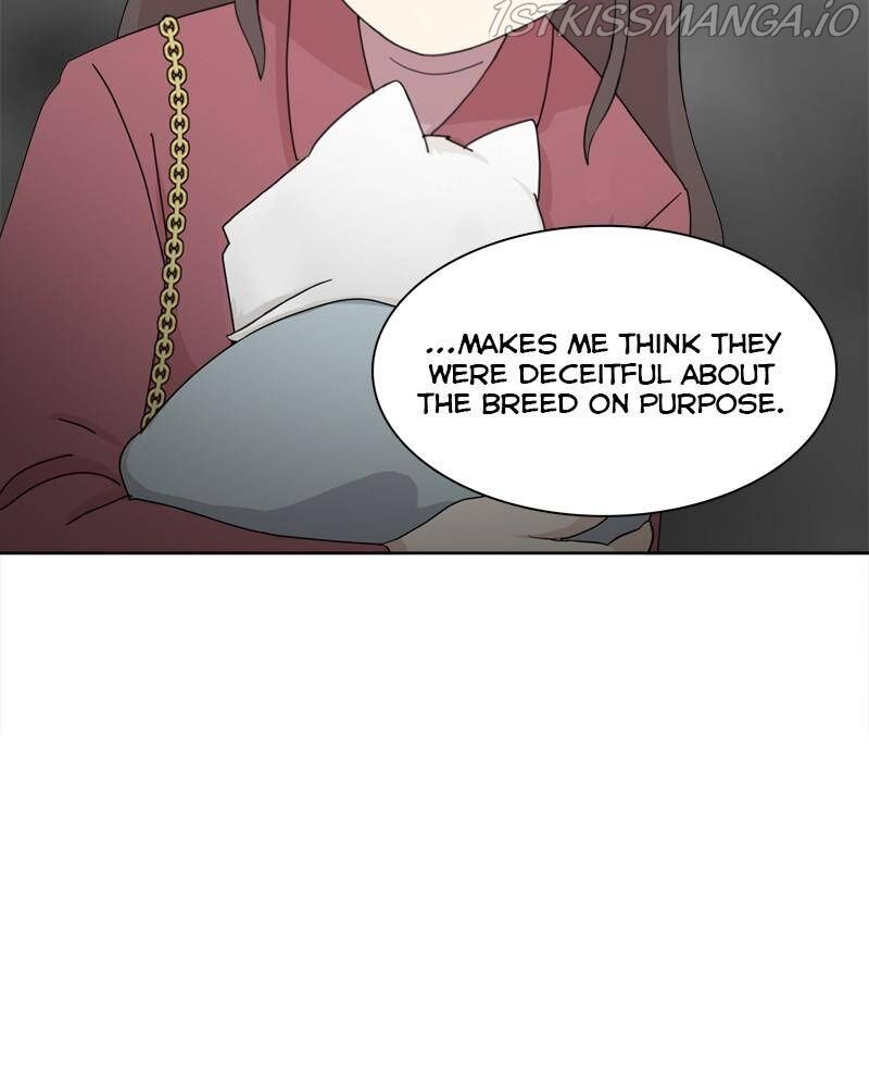 The Dog Diaries Chapter 42 - MyToon.net