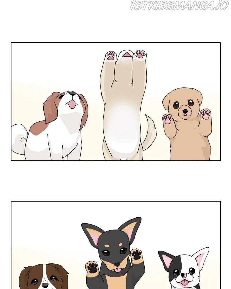 The Dog Diaries Chapter 42 - MyToon.net