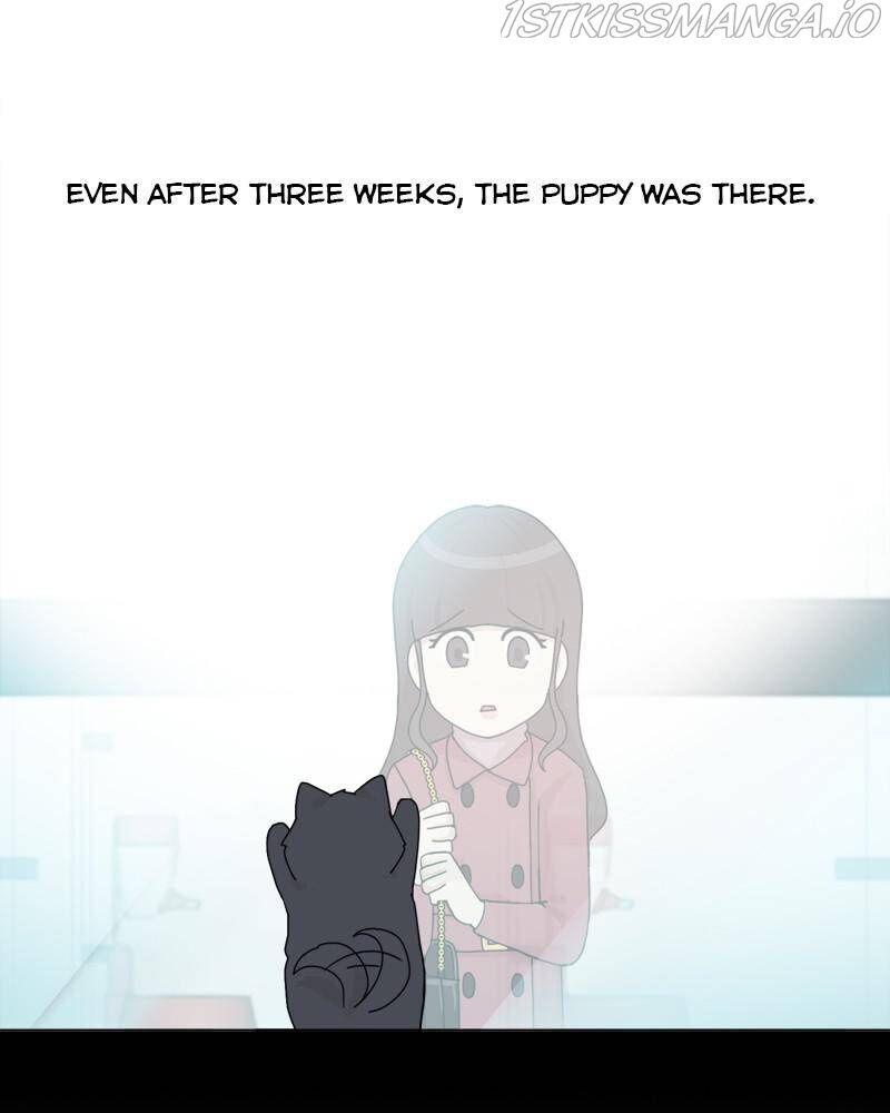 The Dog Diaries Chapter 42 - MyToon.net