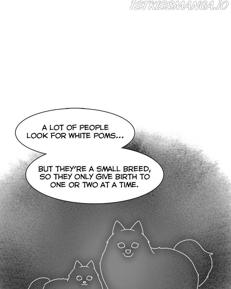 The Dog Diaries Chapter 42 - MyToon.net