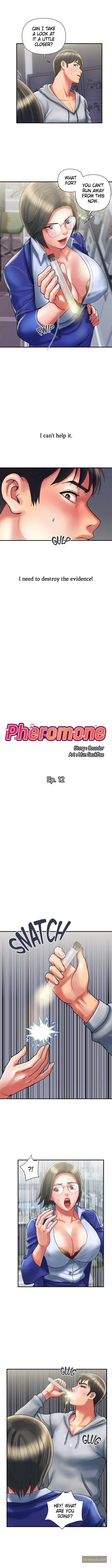 Pheromones Chapter 12 - HolyManga.net