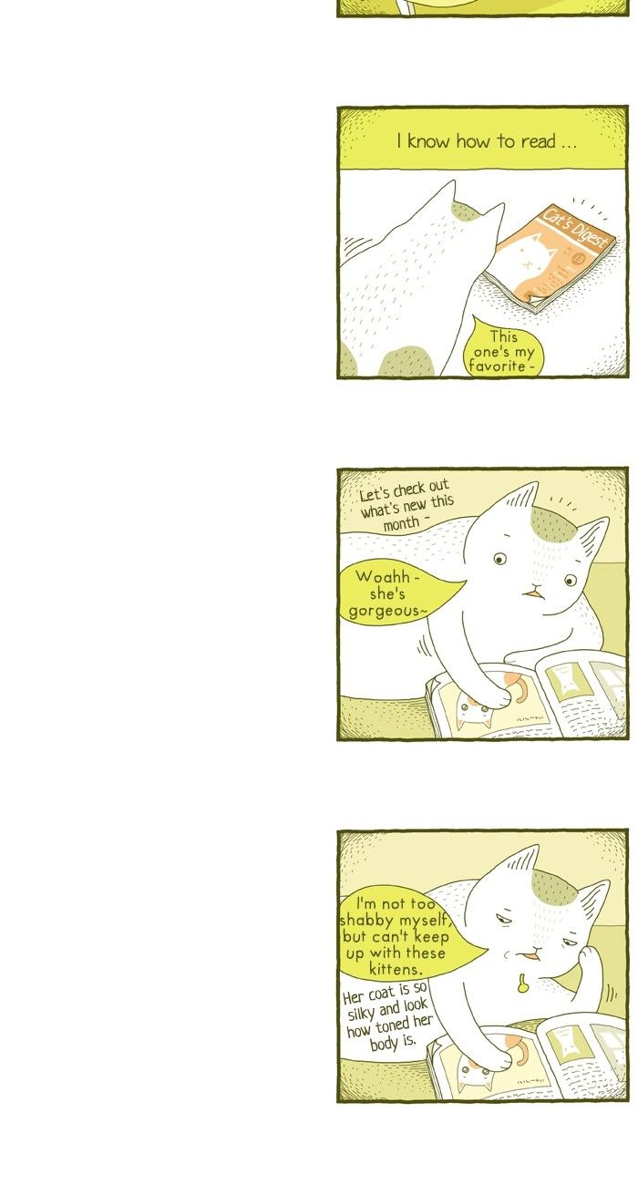 Cat’s Imagination Chapter 8 - MyToon.net