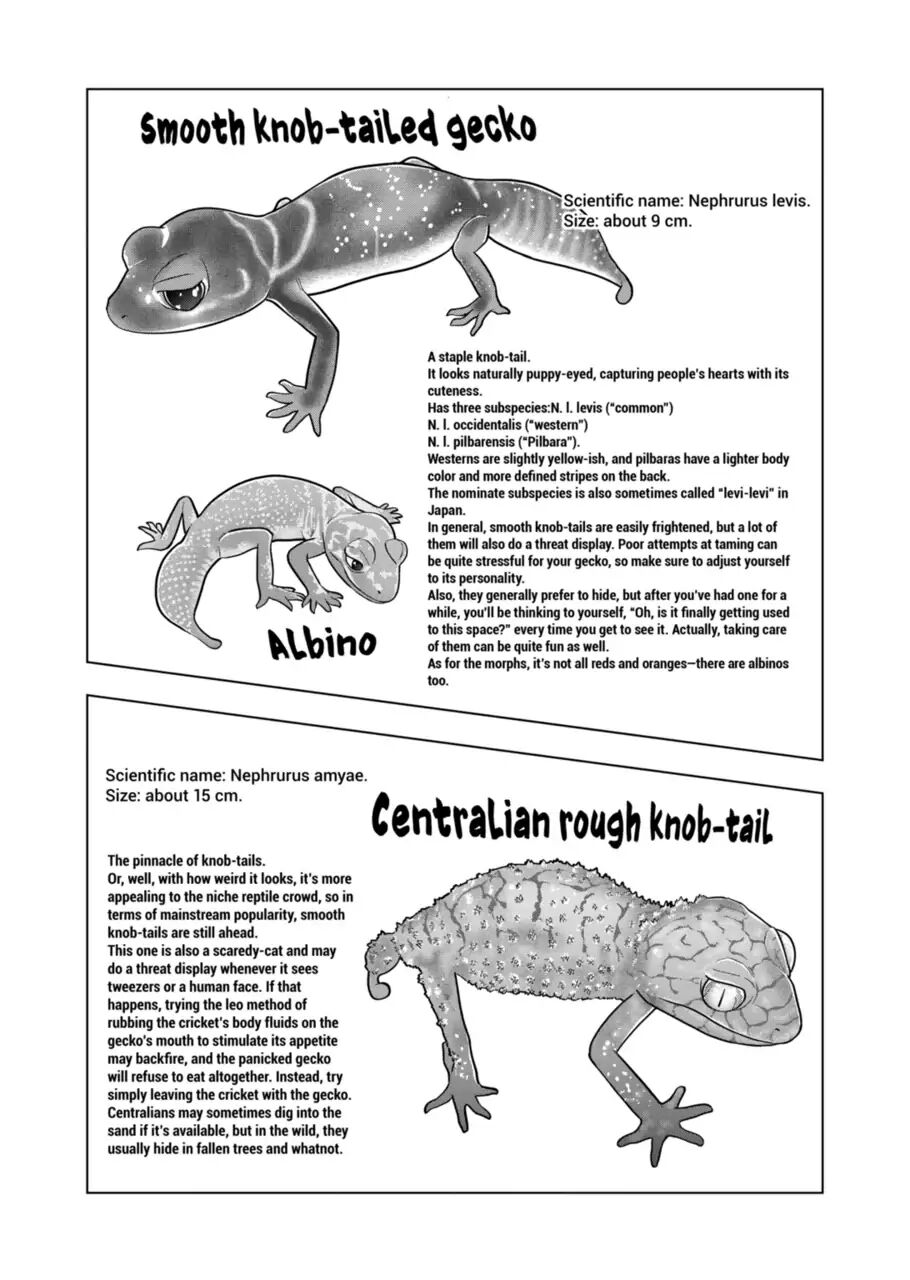 Himitsu no Reptiles Chapter 116 - ManhwaFull.net